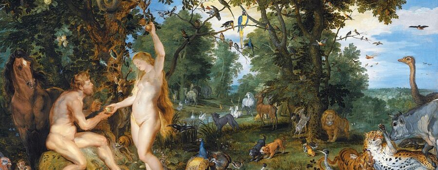 Scripture, Creation, and Tradition: A Response to Blake Johnson