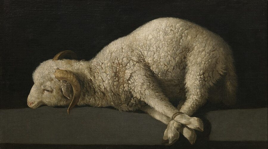 Political Witness and the Reign of the Lamb